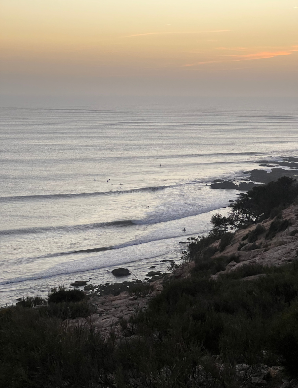 capsim_surf