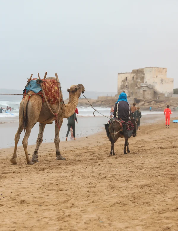 camels_beach